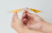 Papillon Origami Airplanes R2