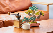Play Plants Bonsai Puzzles C7