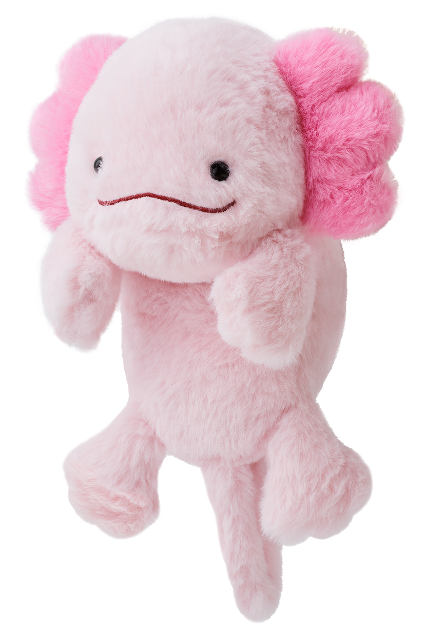 Posture Pal U4