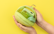 SMISKI Cushion Pouch U2