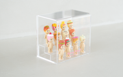Acrylic Display Case C8