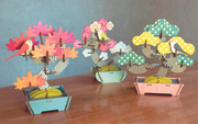 Play Plants Bonsai Puzzles C7