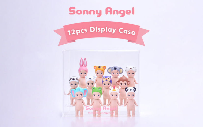 Acrylic Display Case C8