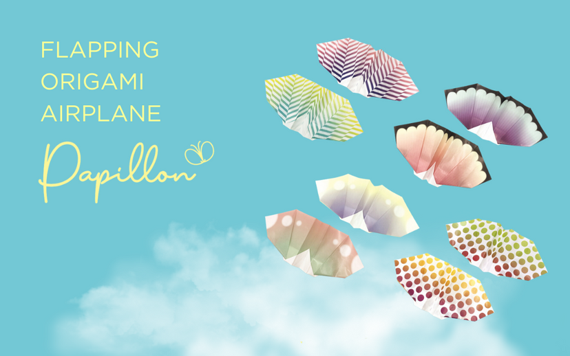 Papillon Origami Airplanes R2