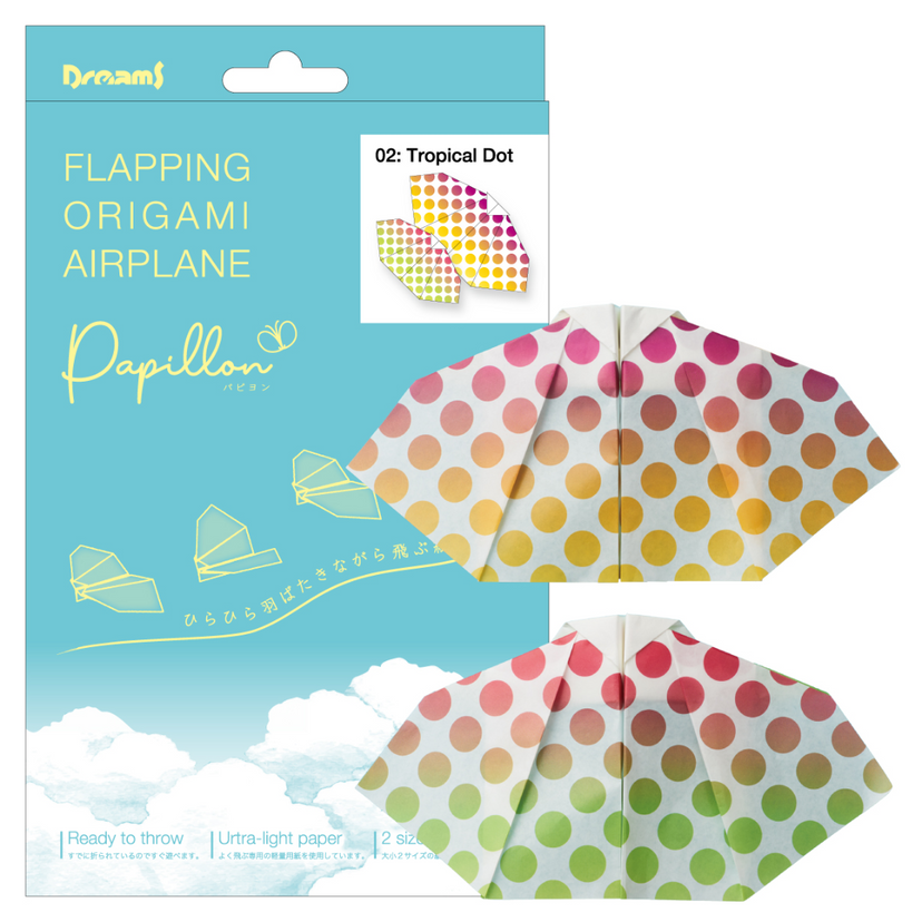 Papillon Origami Airplanes R2