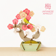Play Plants Bonsai Puzzles C7
