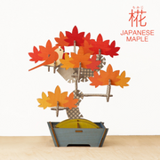 Play Plants Bonsai Puzzles C7