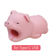 CABLE BITE for Type-C USB R2