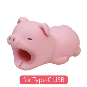 CABLE BITE for Type-C USB R2